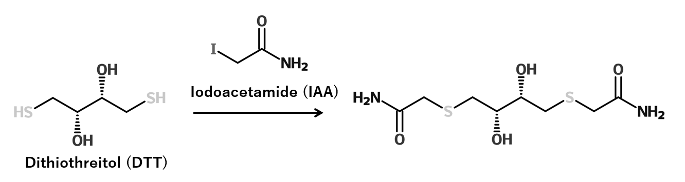BCA Protein Assay還元剤前処理タイプの原理