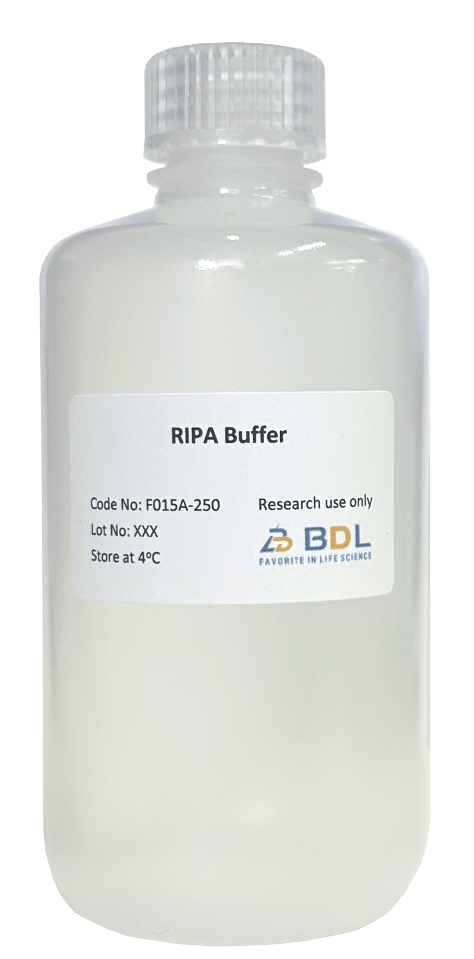 RIPA Bufferの外観