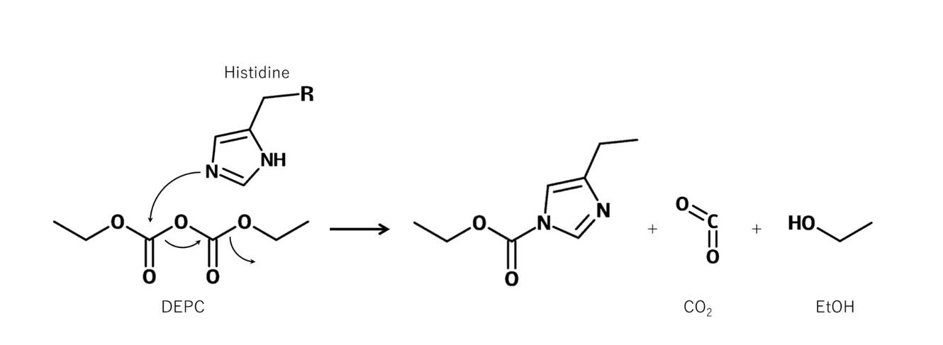 DEPCとHistidineの反応スキーム